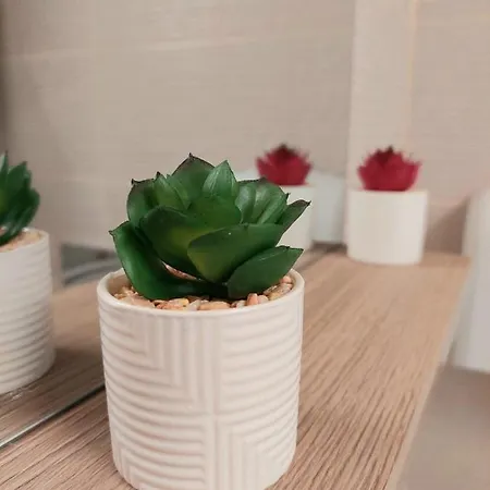 Domino Studio Apartment